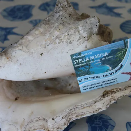 아파트 Stella Marina 마르첼리