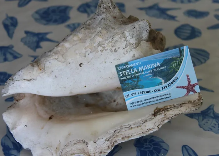 아파트 Stella Marina 마르첼리